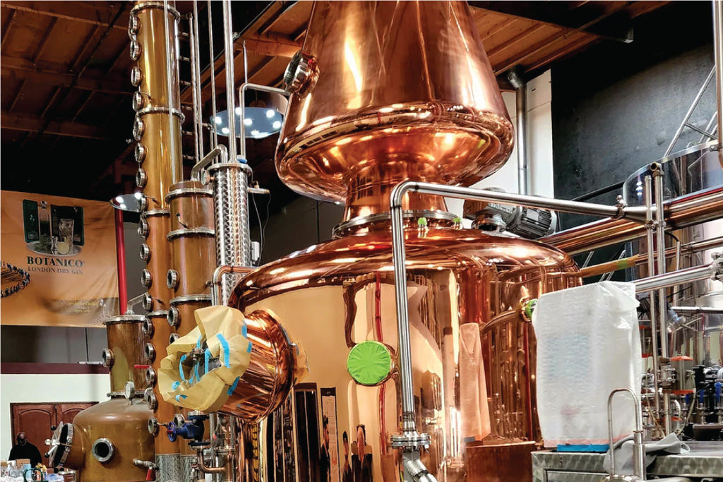 A Spirited Journey From Cane to Glass: How is Rum Made?